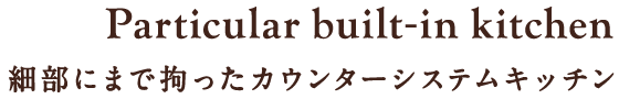 Particular built-in kitchen 細部にまで拘ったカウンターシステムキッチン